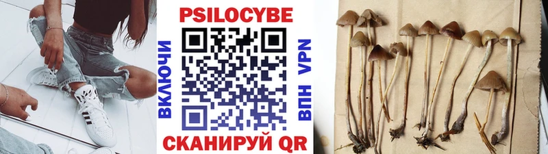 сколько стоит Подольск Галлюциногенные грибы мухоморы
