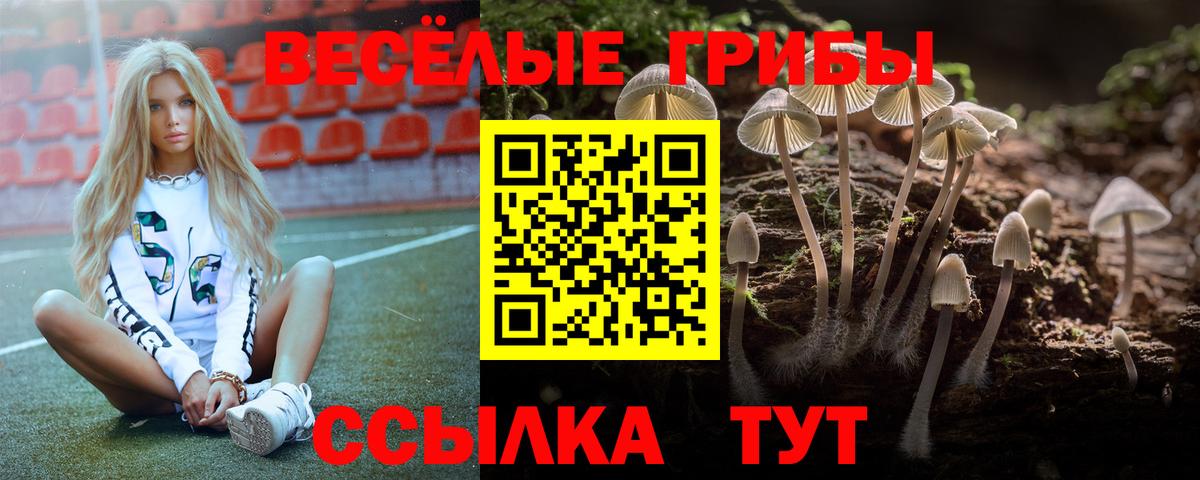 Псилоцибиновые грибы GOLDEN TEACHER Подольск