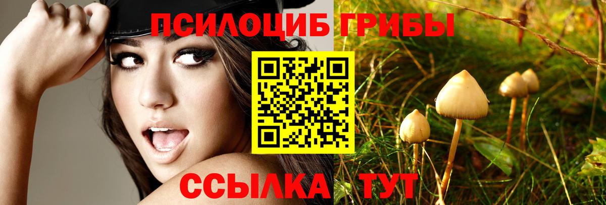 Псилоцибиновые грибы Psilocybine cubensis  Вход с VPN  Галлюциногенные грибы GOLDEN TEACHER  Подольск 