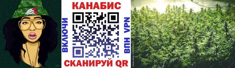 Каннабис план  Подольск 