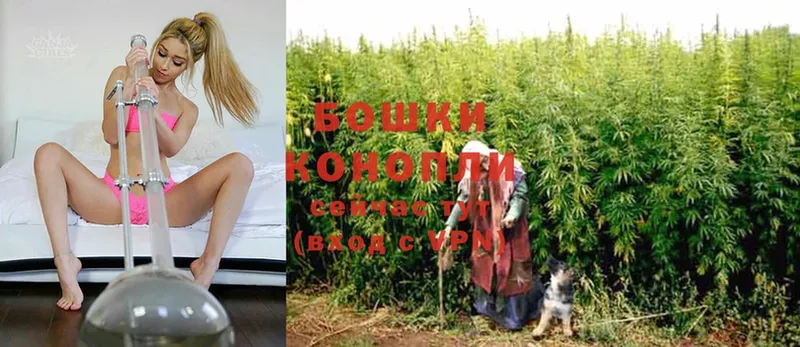 МАРИХУАНА Ganja  Подольск 